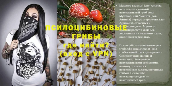 Альфа ПВП Вяземский