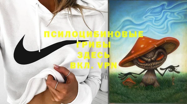 прущая мука Вязьма