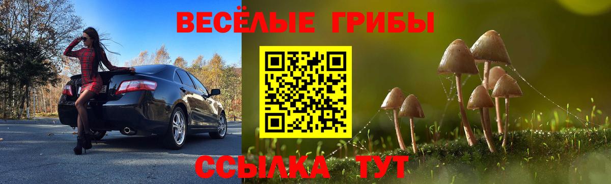купить наркоту  Галлюциногенные грибы Psilocybe  Псилоцибиновые грибы ЛСД  Вход с VPN  Железногорск 